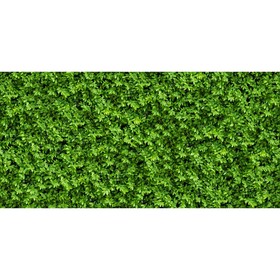Фотосетка, 320 × 155 см, с фотопечатью, «Зелёная стена»