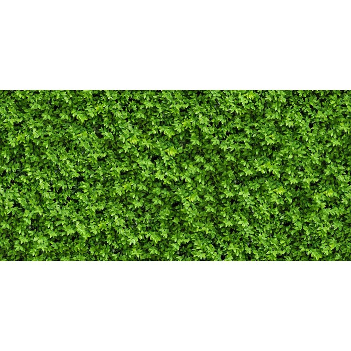 Фотосетка, 320 × 155 см, с фотопечатью, «Зелёная стена» - Фото 1