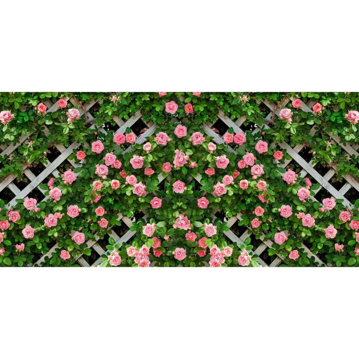 Фотосетка, 320 × 155 см, с фотопечатью, «Розы на шпалере»