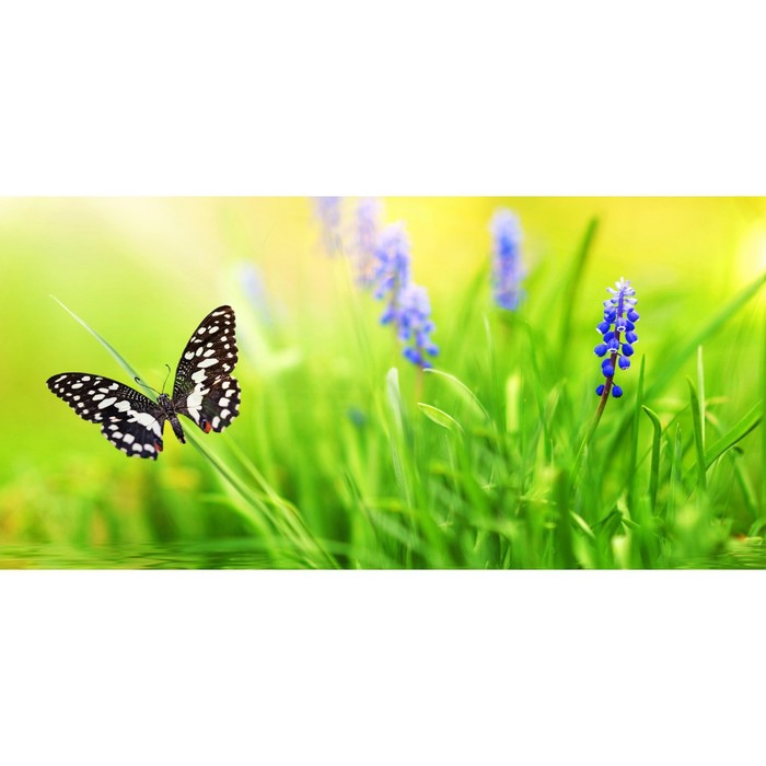 Фотосетка, 320 × 155 см, с фотопечатью, «Бабочка в траве» - Фото 1