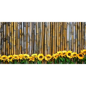 Фотосетка, 314 × 155 см, с фотопечатью, люверсы шаг 0.3 м, «Бамбуковый забор и подсолнухи»