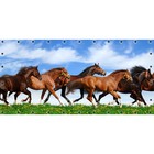 Фотосетка, 314 × 155 см, с фотопечатью, люверсы шаг 0.3 м, «Бегущие лошади» - фото 291744473