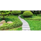 Фотосетка, 314 × 155 см, с фотопечатью, люверсы шаг 0.3 м, «Японский сад» - фото 291744479