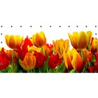 Фотосетка, 314 × 155 см, с фотопечатью, люверсы шаг 0.3 м, «Крупные тюльпаны» - фото 291744517
