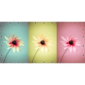 Фотосетка, 314 × 155 см, с фотопечатью, люверсы шаг 0.3 м, «3 цветка»