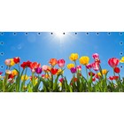 Фотосетка, 314 × 155 см, с фотопечатью, люверсы шаг 0.3 м, «Нежные тюльпаны» - фото 291744523