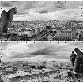 Фотосетка, из двух полотен по 314 × 155 см, с фотопечатью, люверсы шаг 0.3 м, «Вид на Париж»