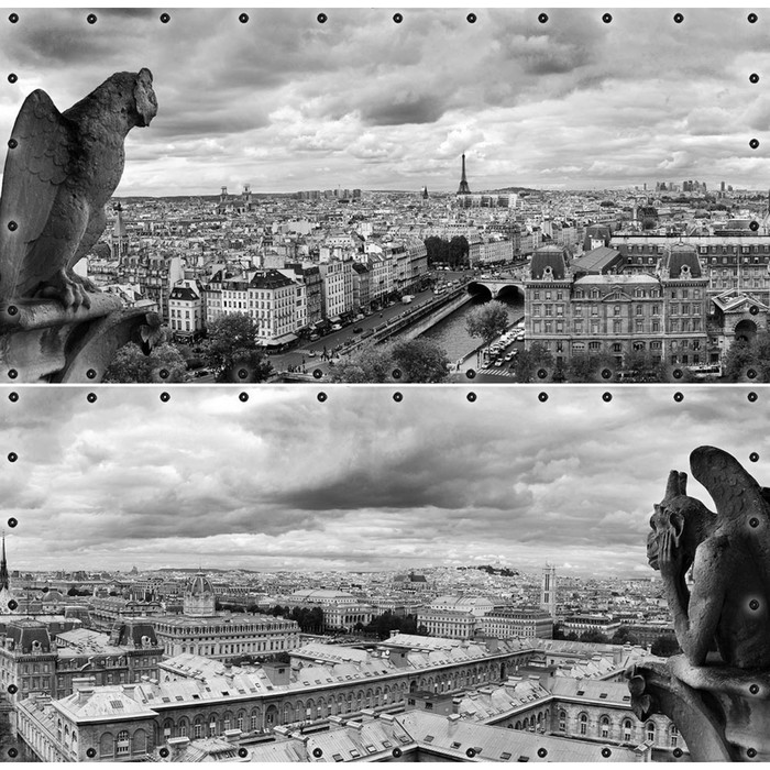 Фотосетка, из двух полотен по 314 × 155 см, с фотопечатью, люверсы шаг 0.3 м, «Вид на Париж» - Фото 1