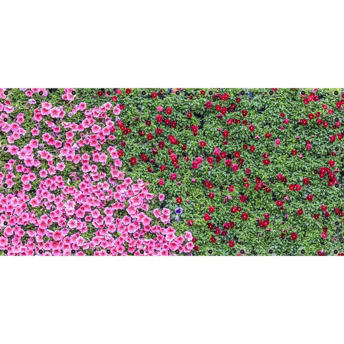 Фотосетка, 314 × 155 см, с фотопечатью, люверсы шаг 0.3 м, «Цветочный ковёр»