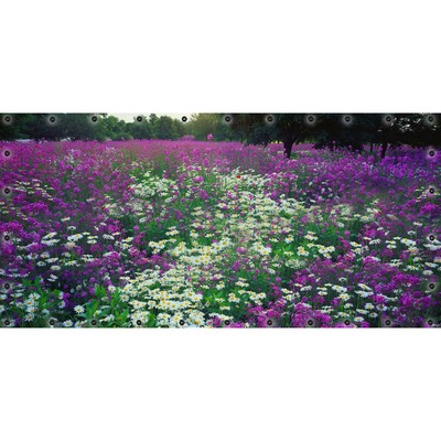 Фотосетка, 314 × 155 см, с фотопечатью, люверсы шаг 0.3 м, «Цветочная поляна»
