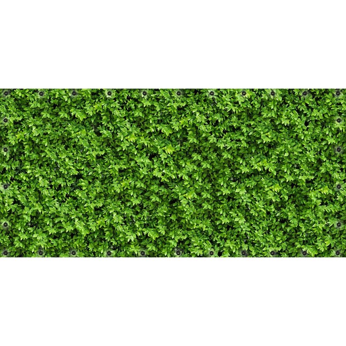 Фотосетка, 314 × 155 см, с фотопечатью, люверсы шаг 0.3 м, «Зелёная стена»