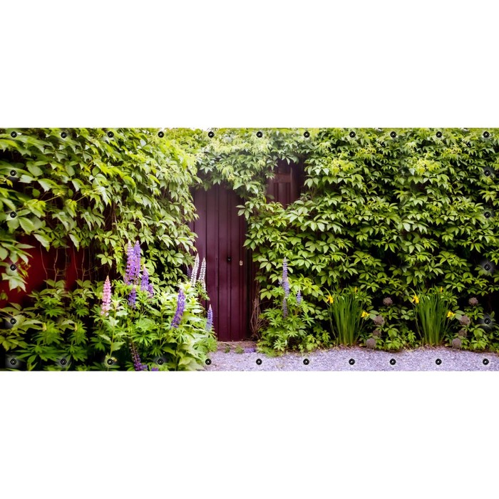 Фотосетка, 314 × 155 см, с фотопечатью, люверсы шаг 0.3 м, «Девичий виноград на стене»