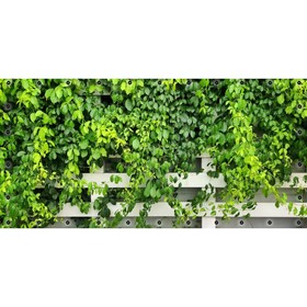 Фотосетка, 314 × 155 см, с фотопечатью, люверсы шаг 0.3 м, «Зелень на белом штакетнике»
