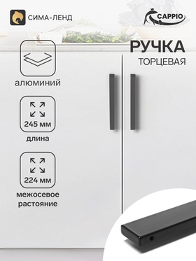 Ручка торцевая CAPPIO RP101BL,  м/о 224  мм, цвет черный