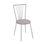 Хром / Шенилл домино лиловый