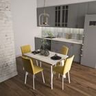 Стул «Флекс», 440×520×895 мм, велюр, цвет чёрный муар / бежевый 10050762