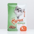 Консервированный корм Мурчик для кошек, кролик в соусе, 75 г - фото 11009053