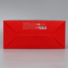 Коробка складная «С НГ», 22 × 30 × 10 см - фото 9608951