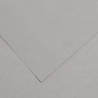 Бумага для пастели 750 x 1100 мм Canson Mi-Teintes №122, 1 лист, 160 г/м², серая фланель - фото 10977848