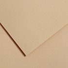 Бумага для пастели 750 x 1100 мм Canson Mi-Teintes №340, 1 лист, 160 г/м², бежевый светлый - фото 10977850