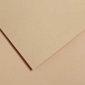 Бумага для пастели 750 x 1100 мм Canson Mi-Teintes №340, 1 лист, 160 г/м², бежевый светлый