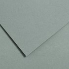 Бумага для пастели 750 x 1100 мм Canson Mi-Teintes №354, 1 лист, 160 г/м², серое небо - фото 10977851