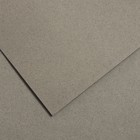 Бумага для пастели 750 x 1100 мм Canson Mi-Teintes №429, 1 лист, 160 г/м², серый фетр - фото 10977852