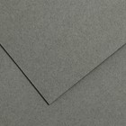 Бумага для пастели 750 x 1100 мм Canson Mi-Teintes №431, 1 лист, 160 г/м², серый стальной - фото 10977853