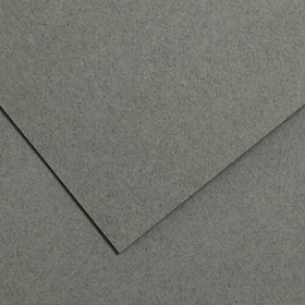 Бумага для пастели 750 x 1100 мм Canson Mi-Teintes №431, 1 лист, 160 г/м², серый стальной