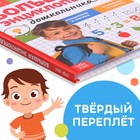 Книга в твёрдом переплёте «Большая энциклопедия дошкольника», 128 стр. - Фото 7
