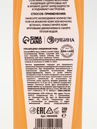 Гель для душа, 250 мл, аромат латте-мандарин, URAL LAB - Фото 8