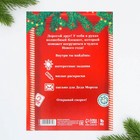 Новый год. Блокнот-раскраска «Почта», формат А5, мягкая обложка - Фото 7