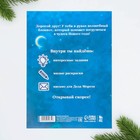 Блокнот-раскраска «Дед Мороз», формат А5, мягкая обложка - Фото 7