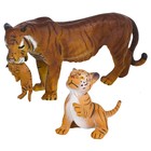 Набор фигурок «Мир диких животных: семья тигров», 2 фигурки - фото 294046944