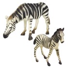 Набор фигурок «Мир диких животных: семья зебр», 2 фигурки - фото 294046965