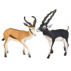 Набор фигурок «Мир диких животных: антилопы Джейран и Гарна», 2 фигурки - фото 294047058