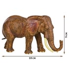 Набор фигурок «Мир диких животных: семья слонов», 2 фигурки - фото 8704949