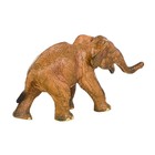 Набор фигурок «Мир диких животных: семья слонов», 2 фигурки - фото 8704952