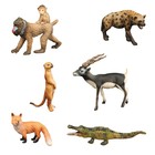 Набор фигурок «Мир диких животных», 6 фигурок - Фото 1