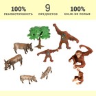 Набор фигурок «Мир диких животных: семья орангутанов и семья бородавочников», 9 фигурок - Фото 2