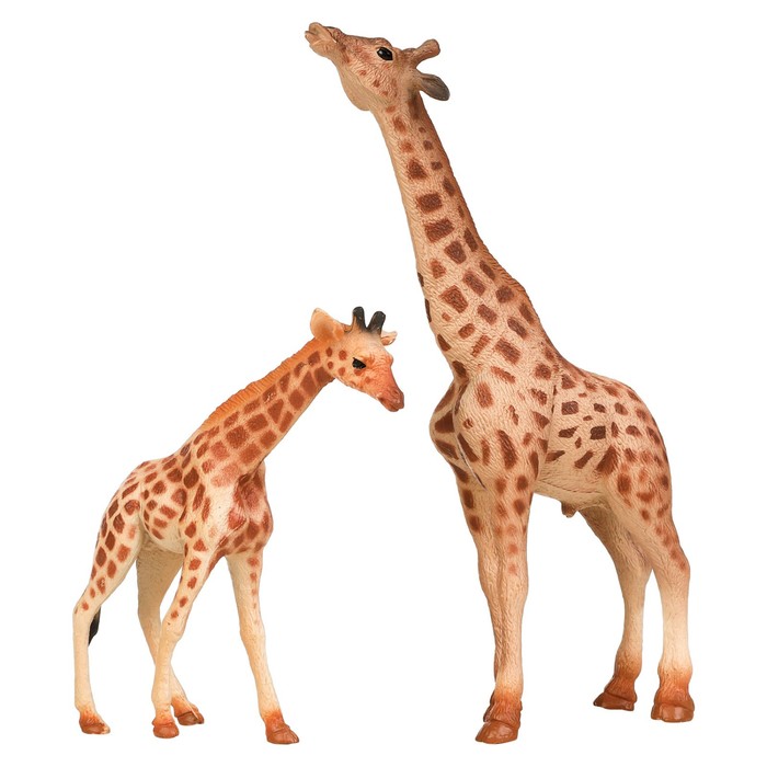 Набор фигурок «Мир диких животных: семья жирафов», 2 фигурки - фото 1906387234