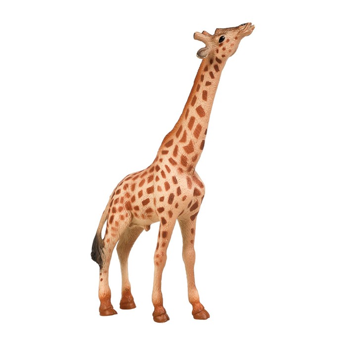 Набор фигурок «Мир диких животных: семья жирафов», 2 фигурки - фото 1906387236