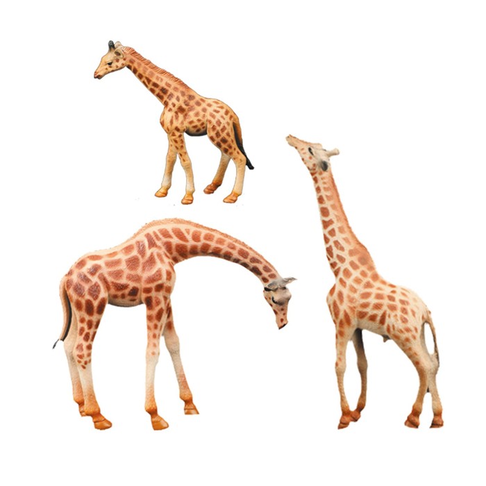 Набор фигурок «Мир диких животных: семья жирафов», 3 фигурки - фото 1906387243