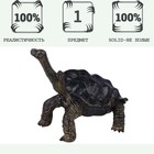 Фигурка «Мир диких животных: звёздчатая черепаха» - Фото 2
