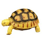 Фигурка «Мир диких животных: жёлтоголовая черепаха» - фото 294048309