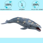 Фигурка «Мир морских животных: серый кит» - Фото 2