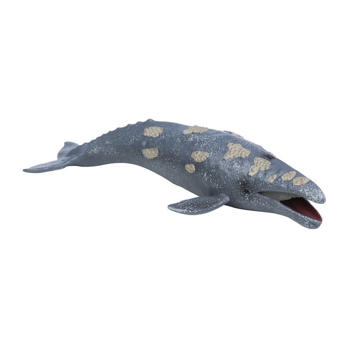 Фигурка «Мир морских животных: серый кит» - фото 1907836356
