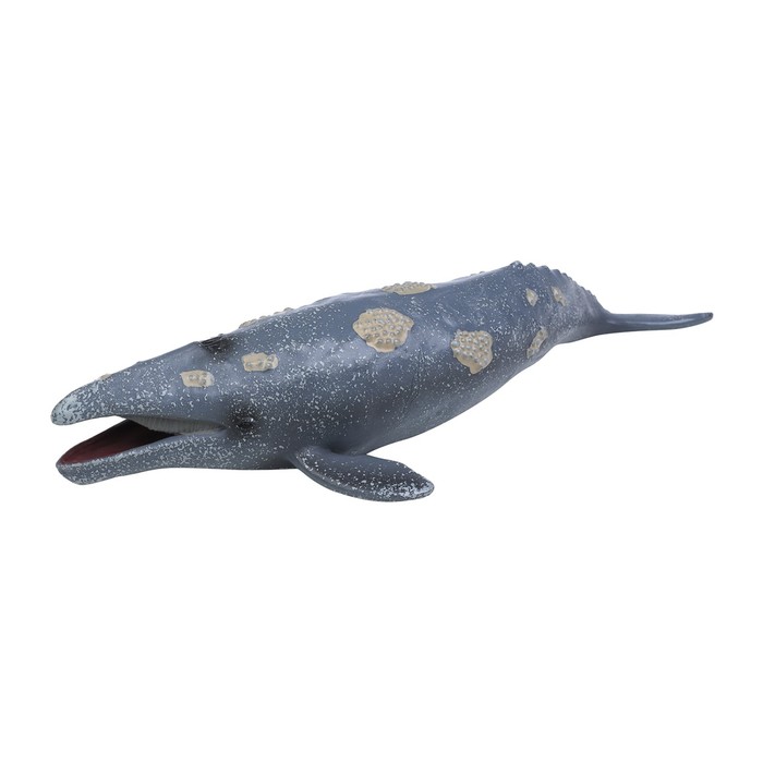 Фигурка «Мир морских животных: серый кит» - фото 1907836359