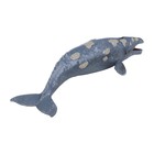 Фигурка «Мир морских животных: серый кит» - Фото 7