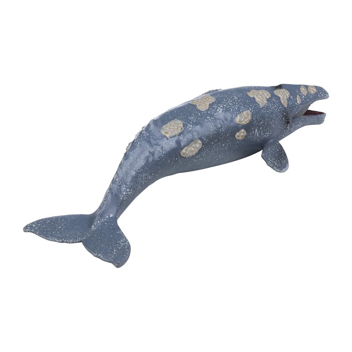 Фигурка «Мир морских животных: серый кит» - фото 1907836362